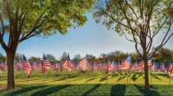 Flags