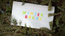 Winter Break